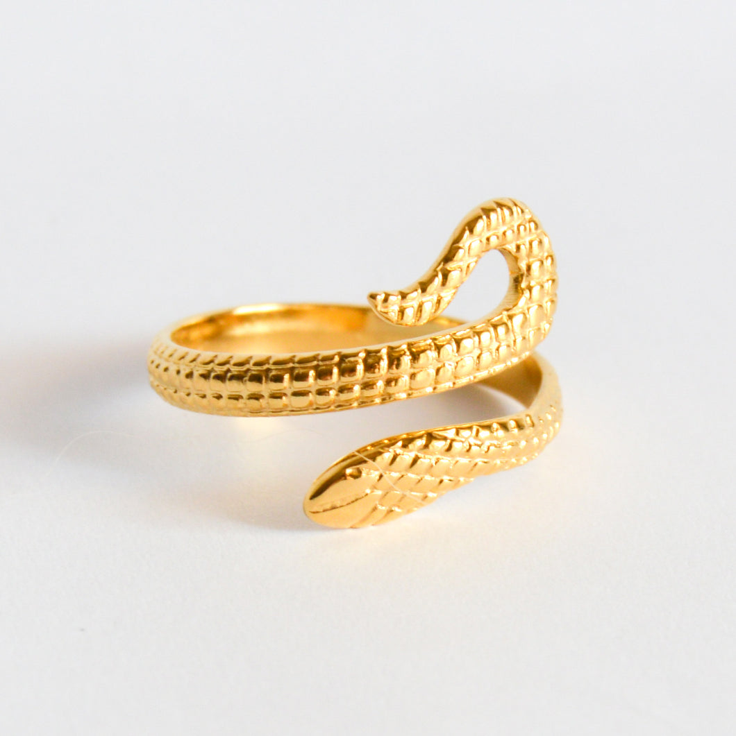 Anillo Snake