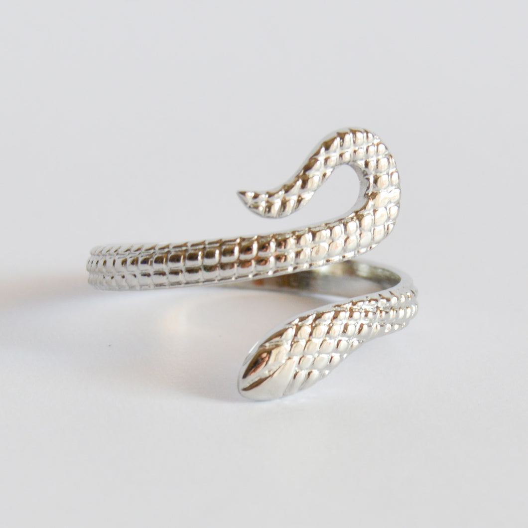 Anillo Snake